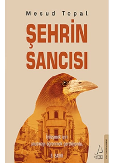 Şehrin Sancısı - Mesud Topal - Destek Yayınları