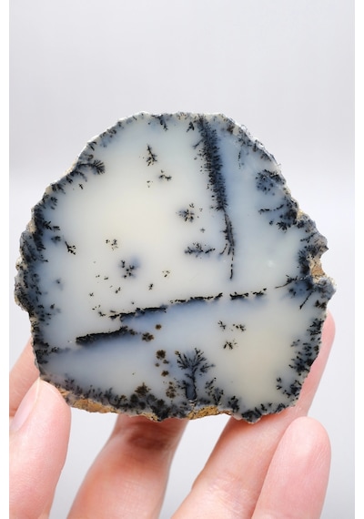 Krem Ve Beyaz Renkli Merlinit - Krem Dendritik Opal İle Jet-siyah Ağaç İçerikler