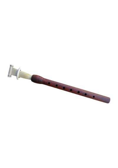 ERİK MEY ORTA BOY 26 CM - LA + NORMAL KAMIŞ HEDİYE