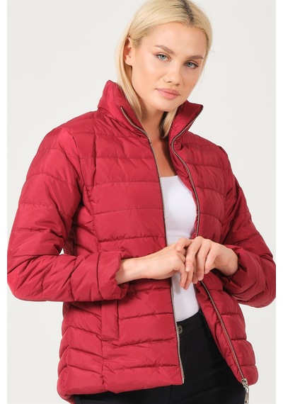 Dewberry Bayan Mont Z6746