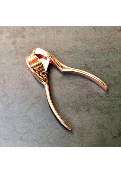 Metal Sarımsak Ezici