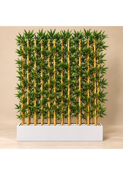 100+50 Cm Saksıda 22 Adet 200 Cm Bambu Sparator Çok Renkli