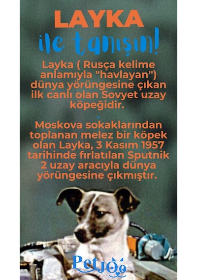 Petjoo 22.Layka Mavi-Turuncu Qr'lı Köpek Künyesi