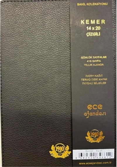 Ece Ajanda Kemer Çizgili Günlük 14x20 2025 Siyah
