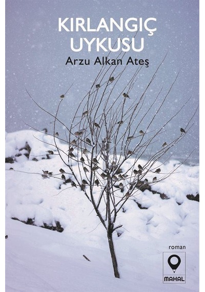 Kırlangıç Uykusu / Arzu Alkan Ateş