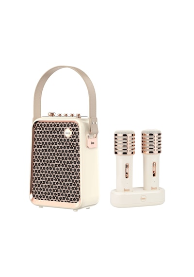 Divoom SongBird-HQ Çift Karaoke Mikrofonlu 6 Ses Efektli 50 W Taşınabilir Bluetooth Hoparlör
