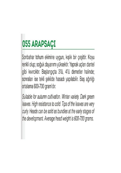 Agrodal Tarım Ata Tohumu Yerli Marul Arapsaçı 1000 Adet Tohum Sku: Zeusstk620d82559d