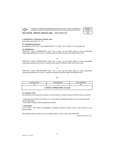 Borfıreproof Yangına Dayanıklı Boya 4 Kg Diğer