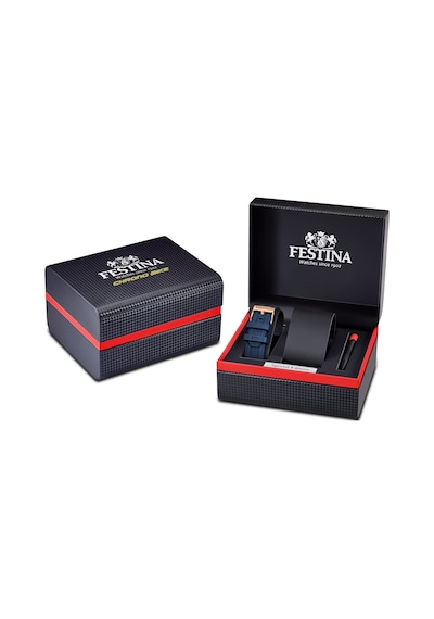 Festına F20524/1 Specıal Edıtıon Chronograph Erkek Kol Saati Gri