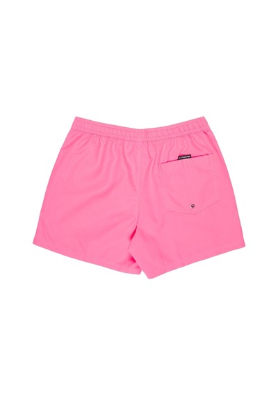 Quıksılver Quiksilver Everyday 15 Erkek Pembe Volley Short Mjb0