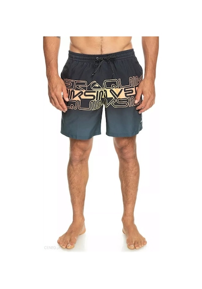 Quiksilver Everyday Wordblock 17 Erkek Yüzme Şortu 001