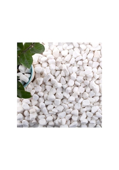 Ayrex Ekodoğa Dolomit Taş 5 Kg 1 2 Cm Beyaz Saksı Dibi Dekoratif Teraryum Taşı Bahçe 101 X 200 Diğer