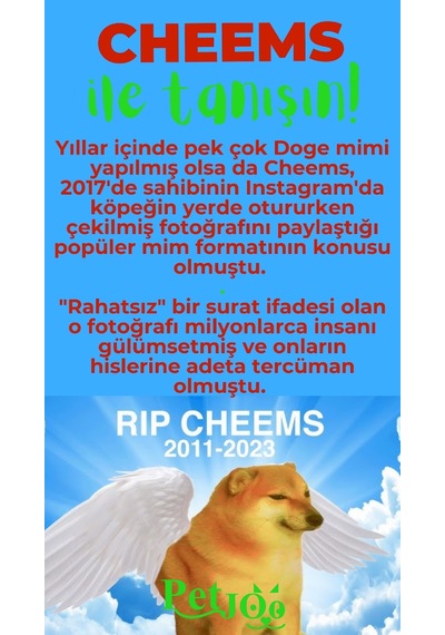 Petjoo 18.Cheems Yeşil-Kırmızı Qr'lı Köpek Künyesi