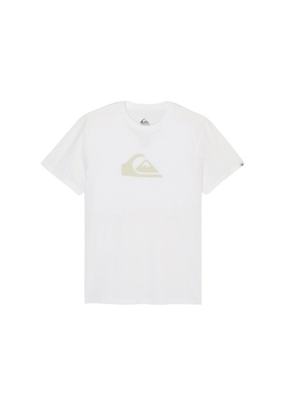 Quıksılver Quiksilver Ev Comp Logo Erkek Tişört Wbb0 Beyaz