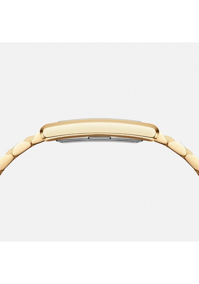 Daniel Wellington Dw00600703 Kadın Kol Saati Diğer