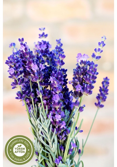 Yörem Afyon Isparta Keçiborlu Yerli Mahsul Hoş Kokulu Lavanta Çiçeği Kurusu Lavandula Angustifolia 70gr.