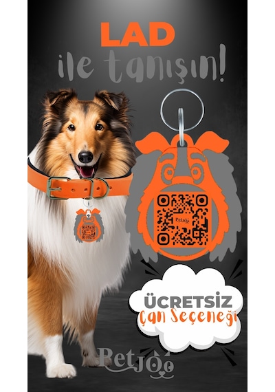 Petjoo 23.Lad Gri-Turuncu Qr'lı Köpek Künyesi