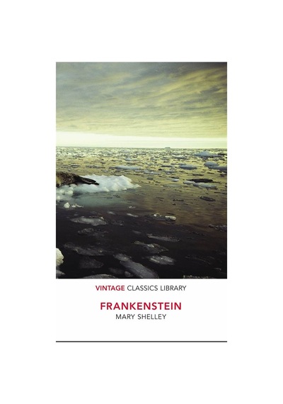Frankenstein 9781784871635
