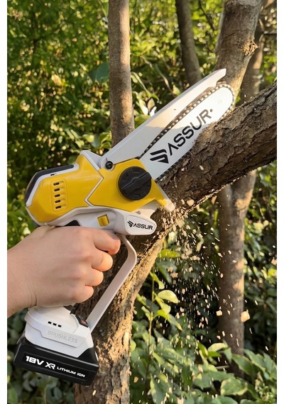 Assur Asr773 18v Çift Akü Dal Budama Testere Sarı