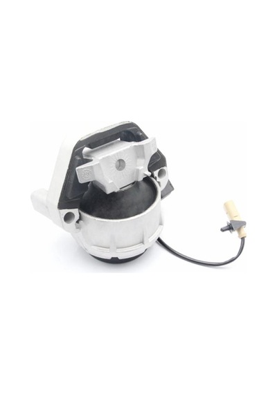 Kautek Motor Sanzuman Kulağı Sağ-sol Elektrikli Audı A6 2.0 Tdı 2011 IS00-KAUTEK AU-EM043