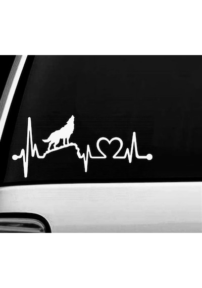 Kurt Kalp Ritmi Oto Sticker Yapıştırma