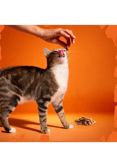 Felicia Crunch Vitality Kedi Ödülü 100 Gr 6'lı