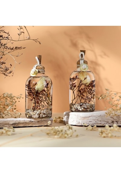 Imperiums Deniz Kabuğu Dekoratif Kandil Mum 100 ML