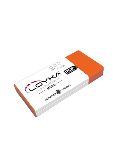 Loyka -mono Mono Tek Kullanımlık Sıcaklık Kayıt Cihazı