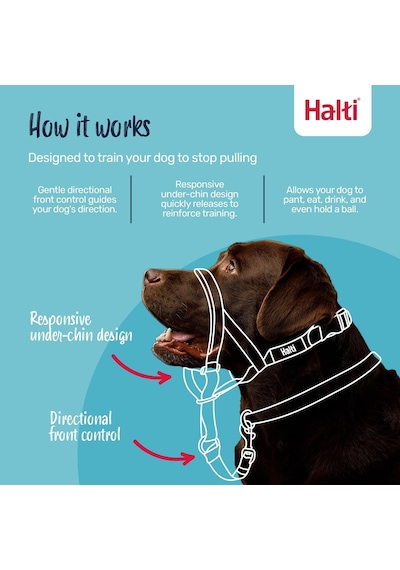 Şirket Hayvanlarının Halti Köpek Halter, Boyut 2 35-48 Cm , Siyah Genel