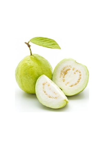 Nadir Ithal Psidium Guava Meyvesi Tohumu Ekim Seti 3 Tohum Saksı Toprak Kombin