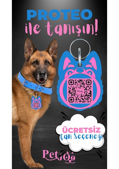 Petjoo 24.Proteo Pembe-Mavi Qr'lı Köpek Künyesi