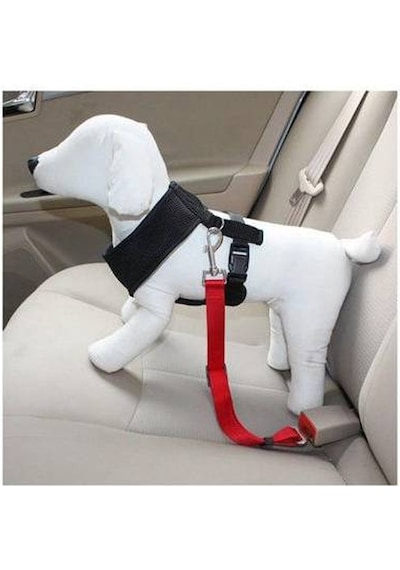 Araç Araba Köpek Kedi Emniyet Kemeri Tasması Oto Aksesuarı Evcil Siyah
