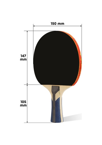4lü Çantalı Masa Tenisi Raketi Seti Amatör Başlangıç Seviye Maç Raketi 2 Raket 2 Top