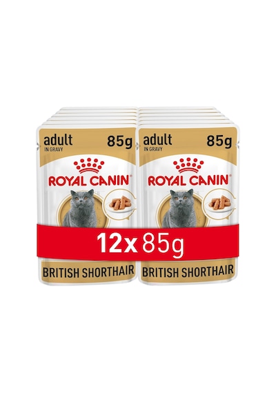 Royal Canin British Shorthair Konserve 85 Gr X 12 Adet
