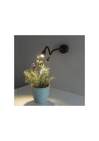 3 W Led Baykuş Okuma Lambası - Gün Işığı 3000k - Siyah - Ct-5232g Siyah