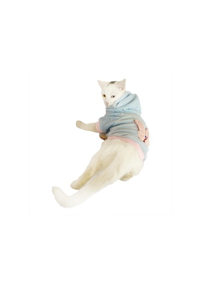 Kemique Blue Pink Bunny Sweatshirt Kedi Süveteri