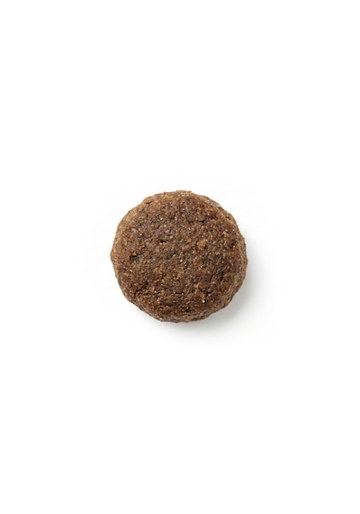 Zampa Plus Premium Somon Etli ve Hamsili Yetişkin Kediler İçin Kuru Mama 1500 G