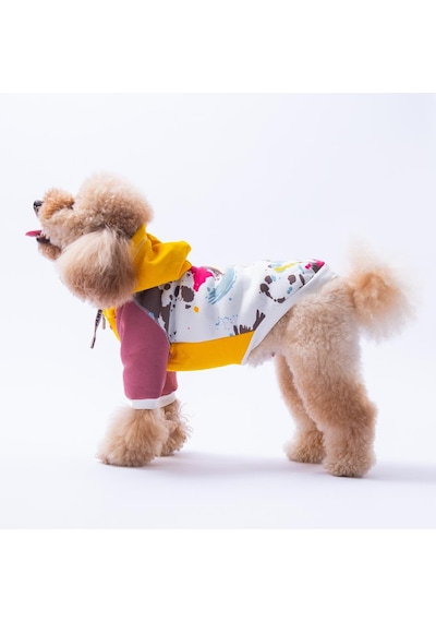 Sarı Rio Köpek Hoodie Köpek Sweat Köpek Kıyafeti Kedi Kıyafeti