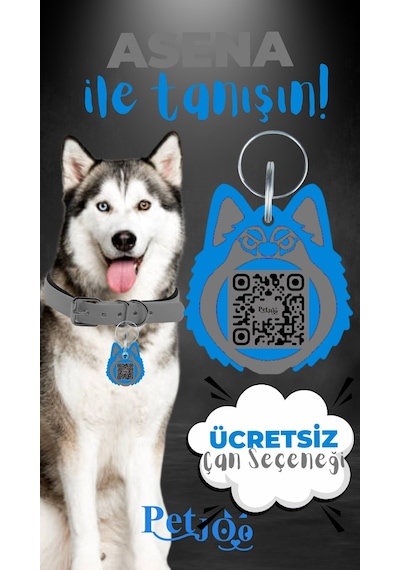 Petjoo 25.Asena Mavi-Gri Qr'lı Köpek Künyesi