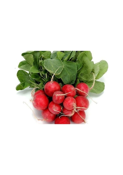 Doğal Cherry Turp Tohumu