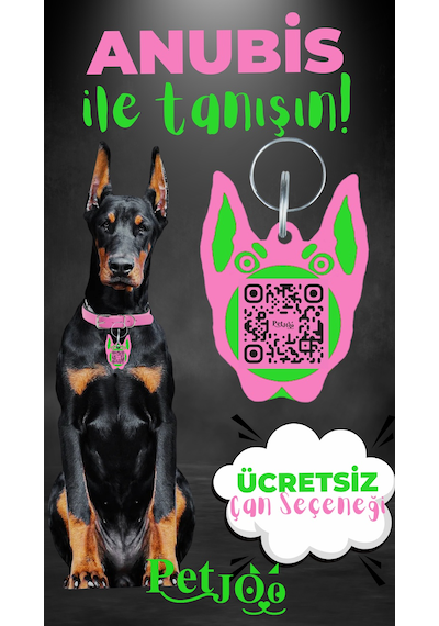 Petjoo 30.Anubis Yeşil-Pembe Qr'lı Köpek Künyesi
