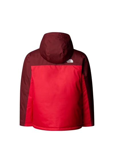 The North Face B Freedom İzolasyonlu Genç Çocuk Ceket Nf0a88tzdı91 Çok Renkli