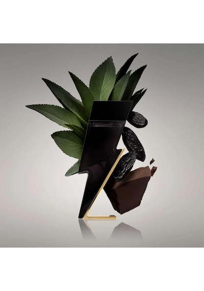 Carolina Herrera Bad Boy Edt 100 Ml Erkek Parfümü Oryantal