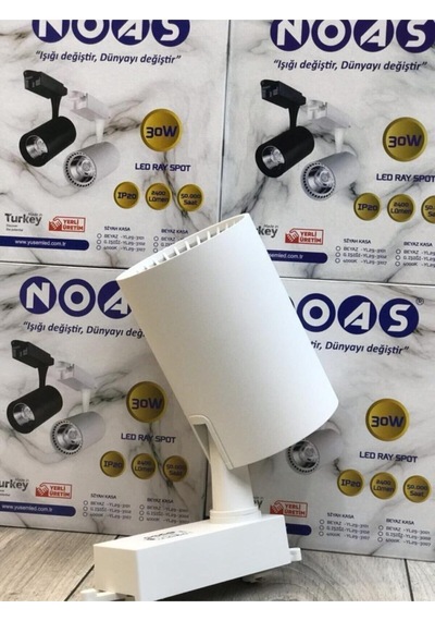 Noas 30w Beyaz Kasa Ray Spot Beyaz Işık