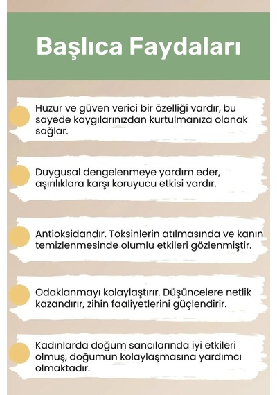Premium Başak Burcu Enerjisini Yükselten Doğal Taş Bileklik Başak Burçları Burç Unisex Bileklik Çok Renkli
