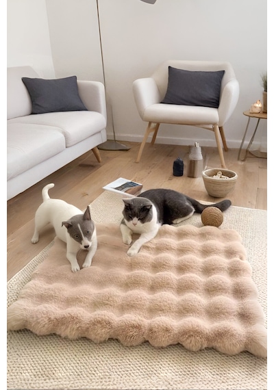 My Evilla Peluş Yumuşak Yıkanabilir Bubble Kedi Köpek Yatağı Minder