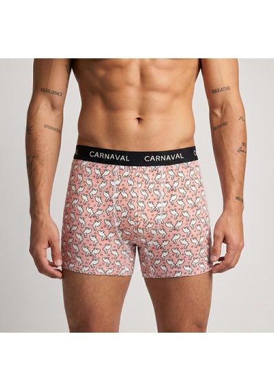Carnaval Socks Carnaval Fun District Erkek Boxer 3 Lü Set Çoklu