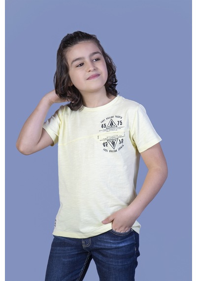 Toontoy Kids Toontoy Erkek Çocuk Çizgili Cepli Tişört Sarı