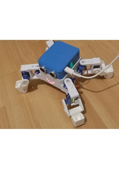 Otto Böcek Robot