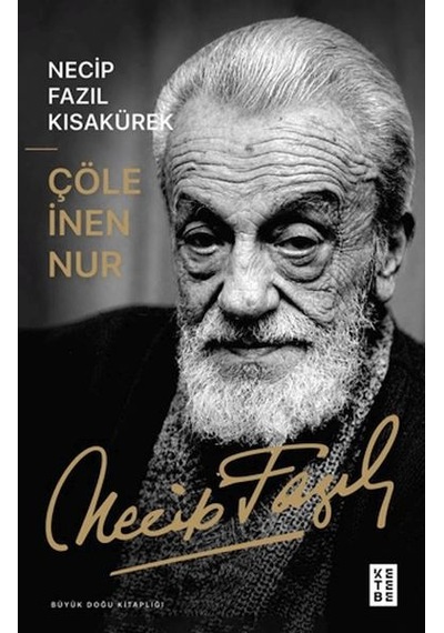 Çöle İnen Nur - Cole-884203